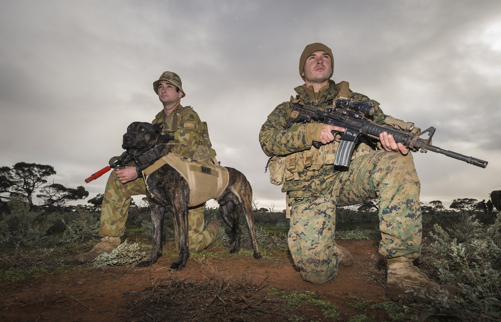 Exercise Hamel 2016