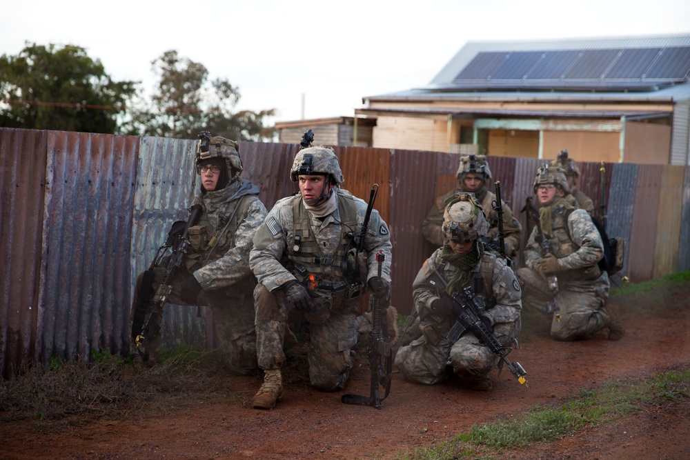 Exercise Hamel 2016