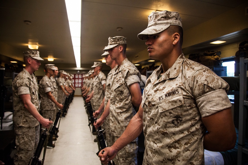 Delta Co. Platoon Commander's inspection