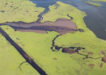 Hilcorp Energy crude oil discharge