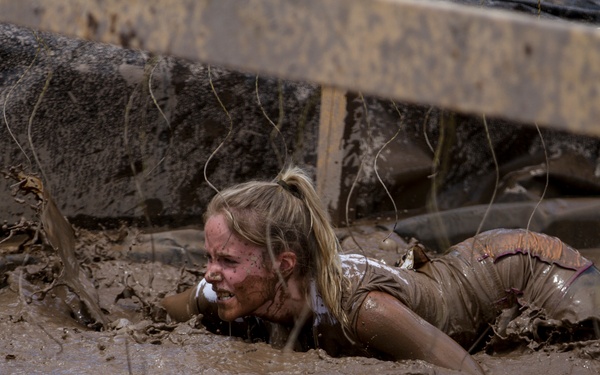 Electric Eel Low Crawl