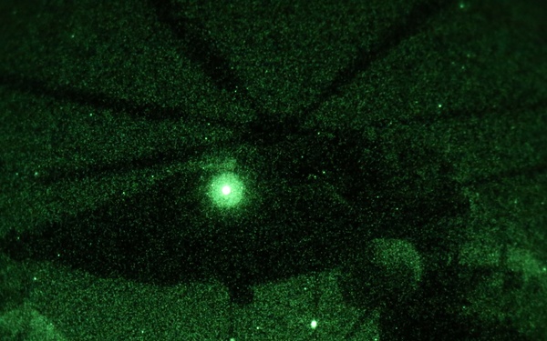 Marines with 2nd TSB conduct a HST training