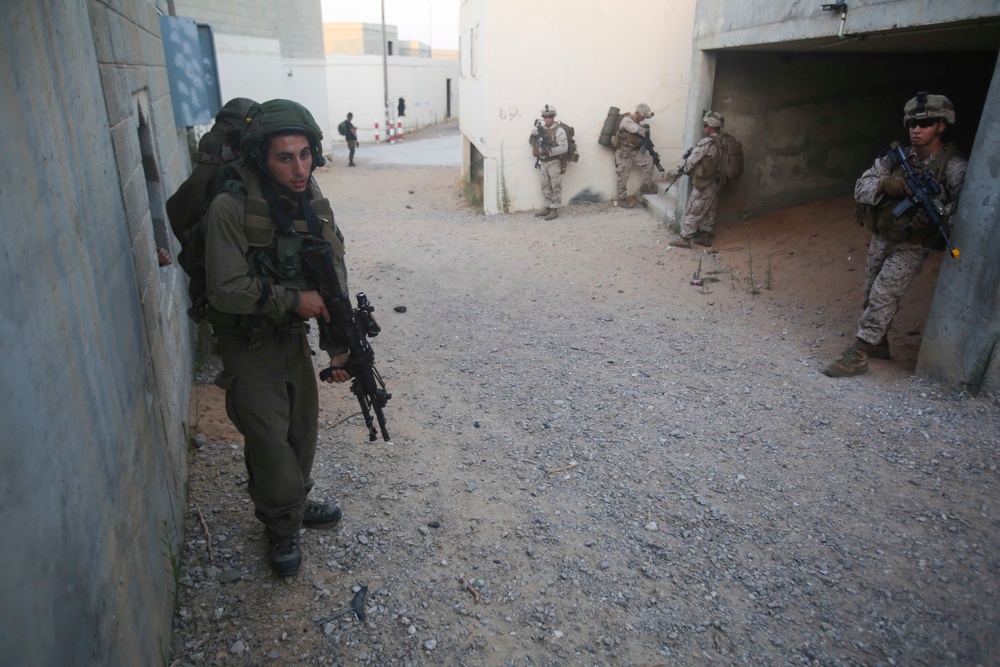 22nd MEU, IDF Conduct Defensive Operations for Noble Shirley 16