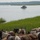 Coast Guard Station Chincoteague helps ensure safe 91st Annual Pony Swim