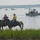 Coast Guard Station Chincoteague helps ensure safe 91st Annual Pony Swim