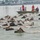 Coast Guard Station Chincoteague helps ensure safe 91st Annual Pony Swim