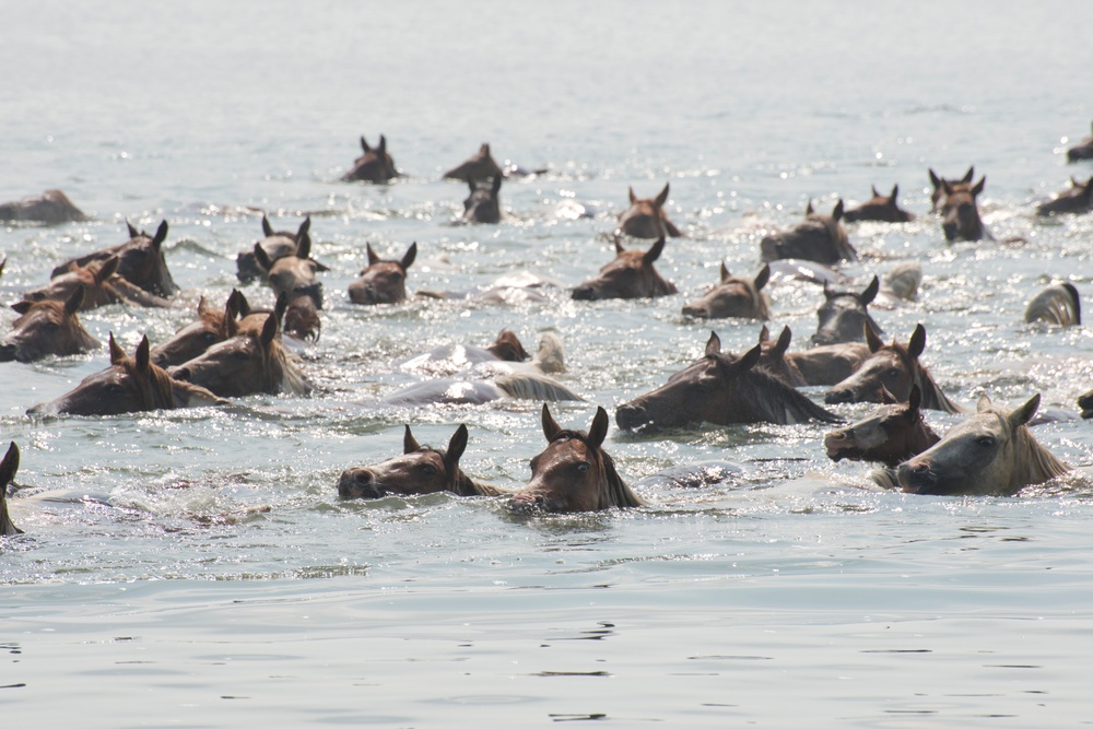 Coast Guard Station Chincoteague helps ensure safe 91st Annual Pony Swim