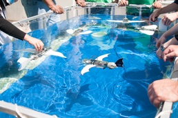 Carderock hosts SeaGlide workshop for educators