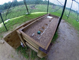 Task Force Wolf Instructors assist Individual Movement Training during Cadet Initial Entry Training, CST16