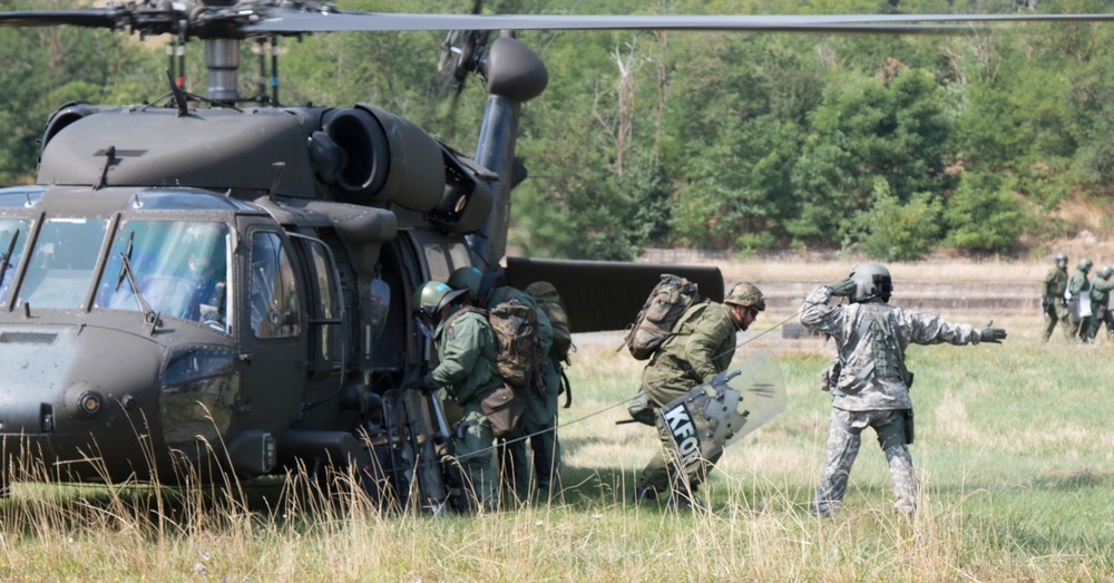 Multinational Battle Group-East conducts Operation Joint Guardian