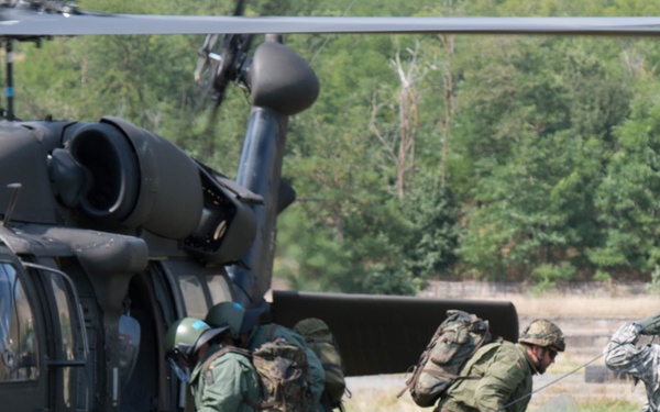 Multinational Battle Group-East conducts Operation Joint Guardian