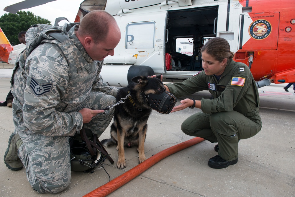 Lending a paw: Coast Guard helps Air Force military working dogs get acclimated