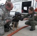 Lending a paw: Coast Guard helps Air Force military working dogs get acclimated
