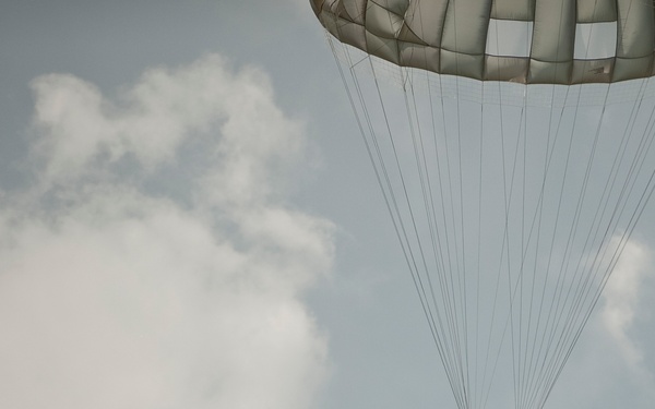 Slovak and US Armed Forces demonstrate joint operations