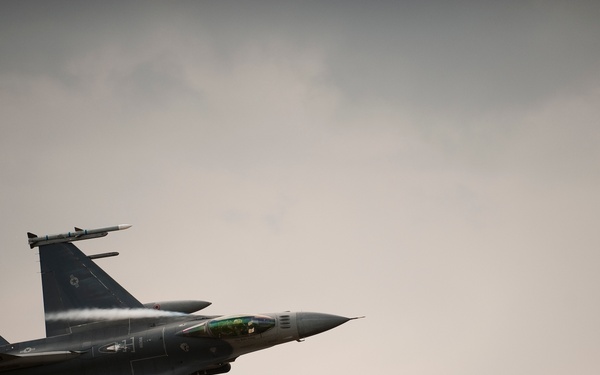 Slovak and US Armed Forces demonstrate joint operations