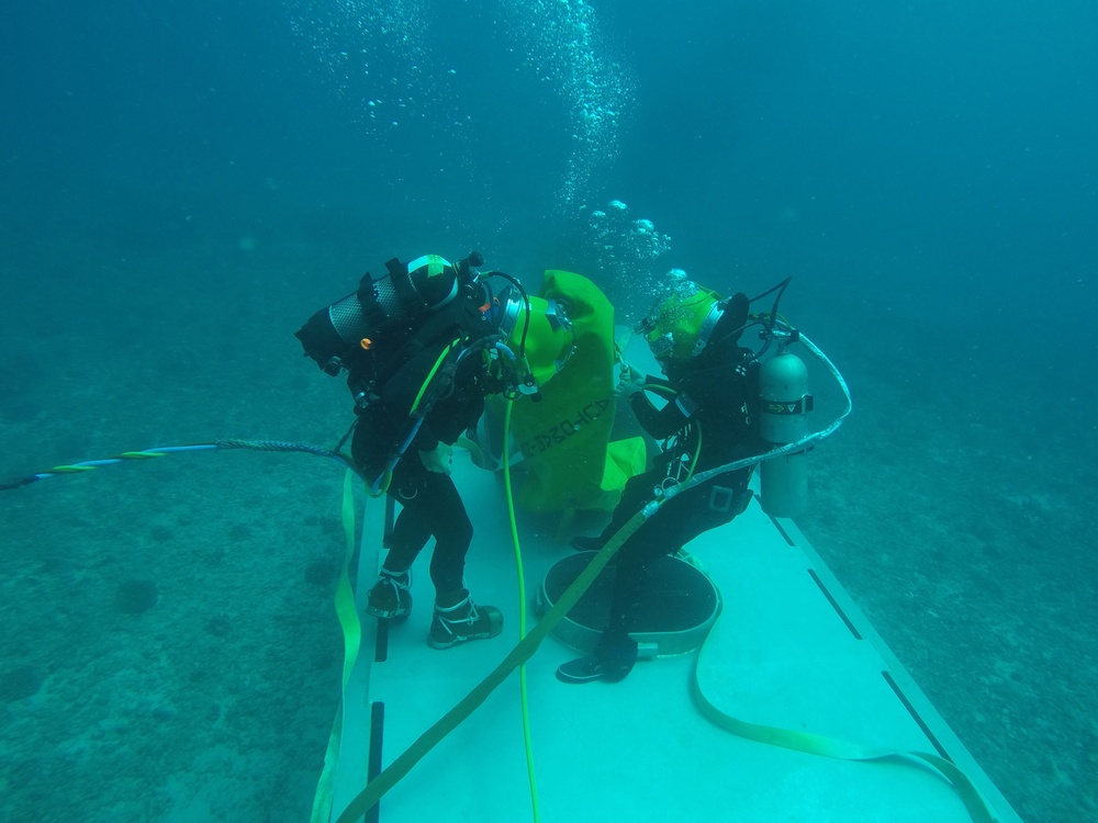 Multinational Salvage Dive Exercise during RIMPAC 16