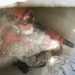 Search and Rescue