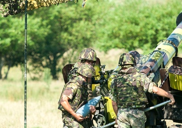Romanian artillery