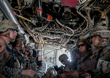 Joint operations seize the day