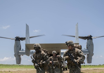 Joint operations seize the day