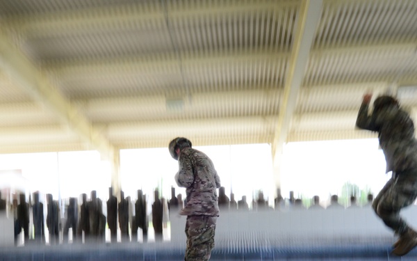 173rd Airborne Brigade