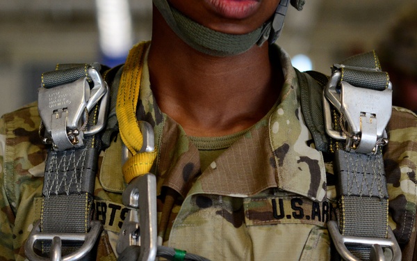 173rd Airborne Brigade