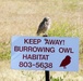 &quot;Keep Away From Burrowing Owl Habitat&quot; Says Feathered Resident of Parks Reserve Forces Training Area