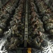 Battalion Mass-Tactical Week