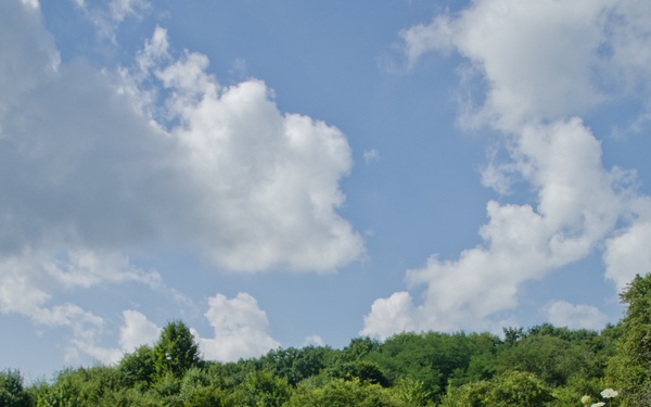 Spying on the bad guys