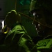 Battalion Mass-Tactical Week