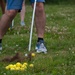 Taking a swing at Golf courses