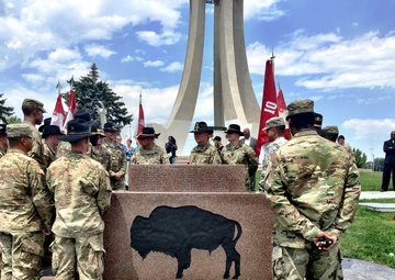 4-10 CAV honors Buffalo Soldier heritage at memorial dedication