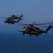 HMH-462, Royal Canadian Air Force supports 3/1