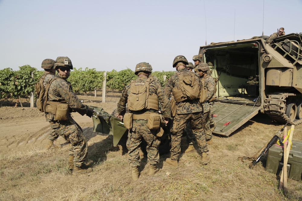 22nd MEU Marines and Ukrainian Marines Conduct Exercise Sea Breeze 2016