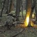 Soldiers stage patrols, attacks during training in Romania