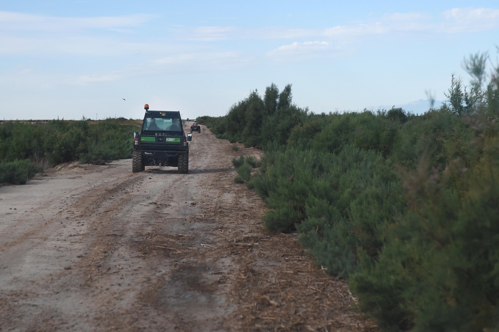 Two off-road utility vehicles are traveling along a narrow dirt track through scrubland or semi-arid terrain. The lead vehicle is a black UTV/side-by-side with green markings, visible from the rear, followed by a second vehicle further down the trail. The landscape is flat with low green shrubs on both sides under a partly cloudy sky.