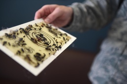 Enlisted exterminators-- eliminating health hazards, enabling mission