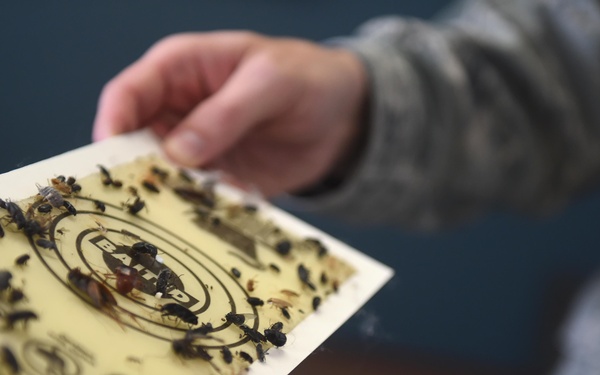 Enlisted exterminators-- eliminating health hazards, enabling mission