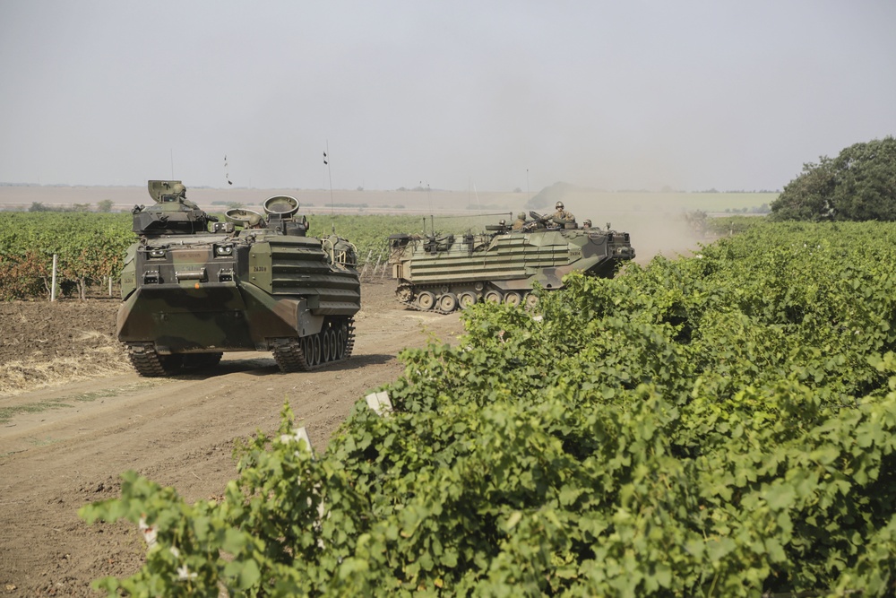 22nd MEU Marines and Ukrainian Marines Conduct Exercise Sea Breeze 2016