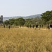 Ugandan soldiers complete U.S. Marine training