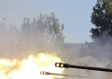 Romanian Artillery