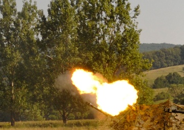 Romanian forces show firepower
