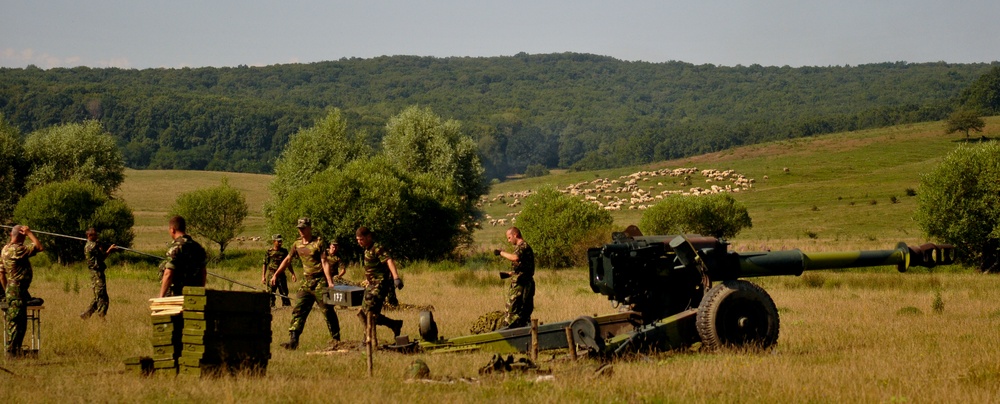 Romanian forces show firepower