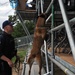 Canines Provide Added Safety at Seattle Seafair