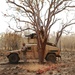 CAAT Marines send rounds down range, prep for Koolendong