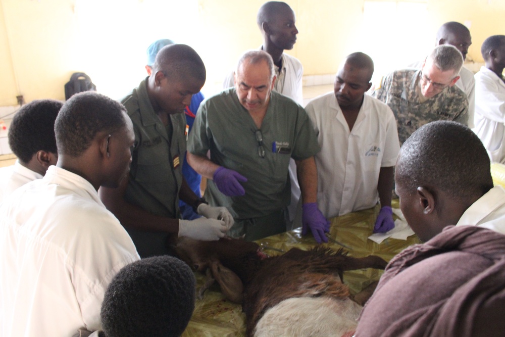 Army Reserve physician instructs medical students during demonstration on goat in Chad hospital