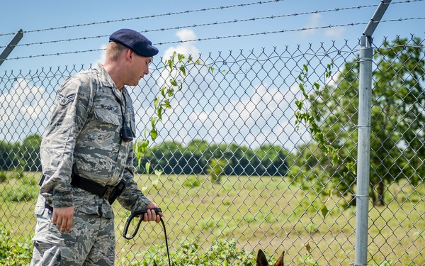 MWDs Bad to The Bone