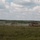 Fighting the nation's wars: one 50lb round at a time Multiple main battle tanks, identifiable as M1 Abrams, are maneuvering across an open grassy field during what appears to be a military training exercise. The tanks are moving in a loose formation, kicking up dust clouds as they traverse the terrain. A treeline and partly cloudy sky form the background.