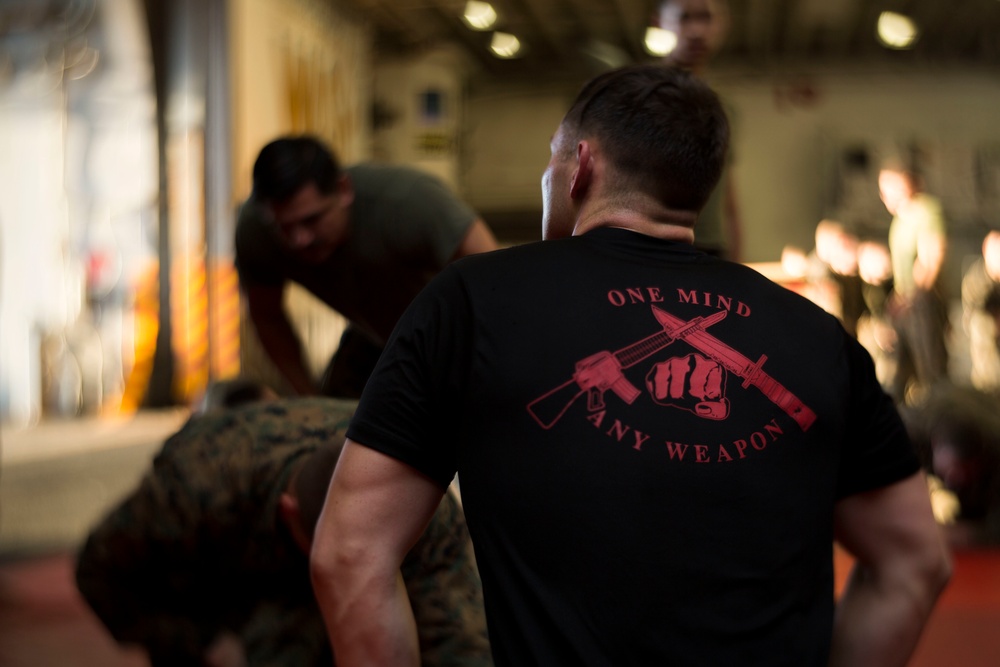 22nd MEU Marines Conduct Marine Corps Martial Arts Instructor Course