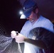 Bat survey conducted at 167th Airlift Wing